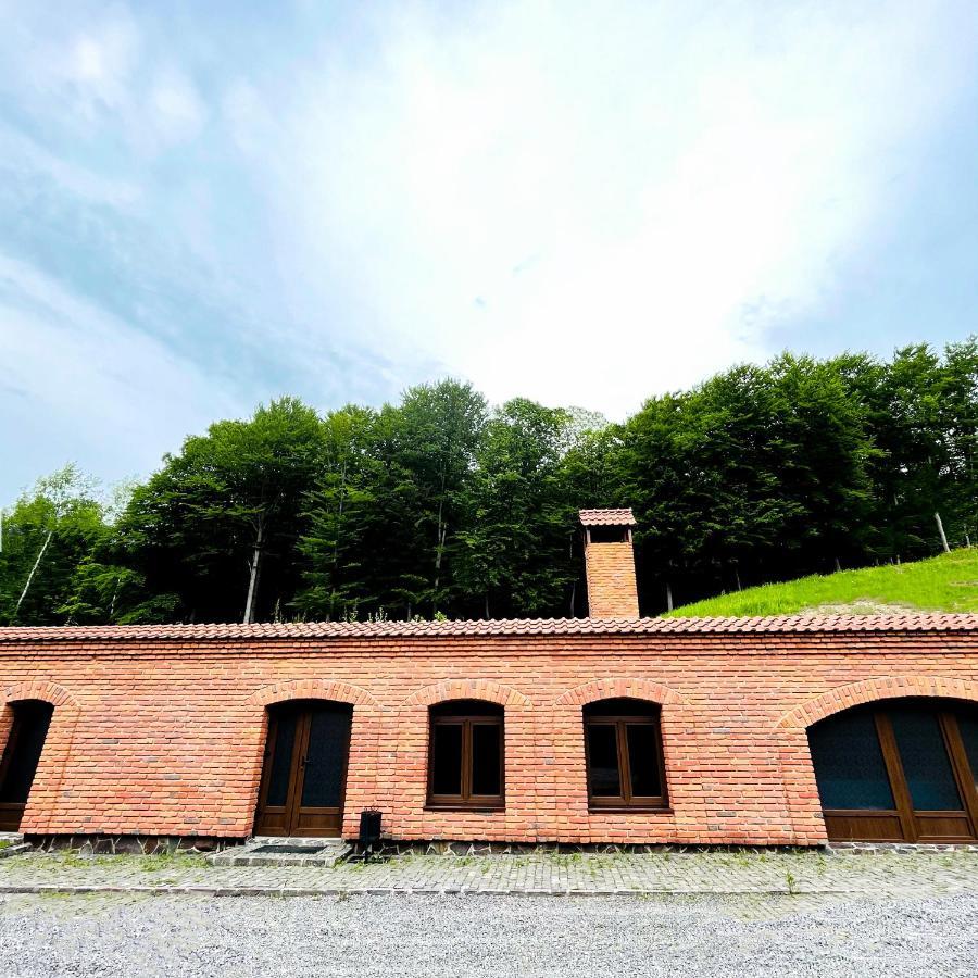 Villa Комплекс Скала Serednye Vodyane Exterior foto